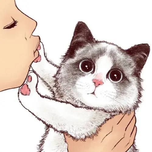 domo和泡泡两个毛球打架视频略血腥