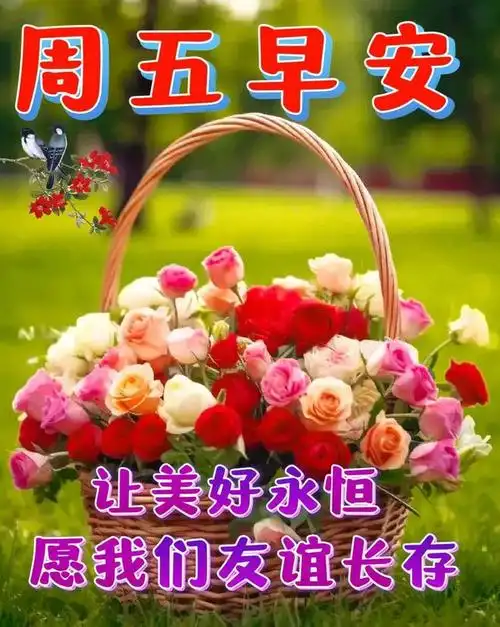 早安祝福图片问候语大家快乐健康每一天周五愉快