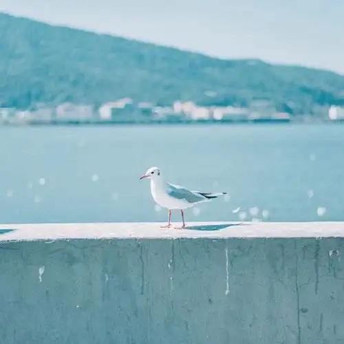 干净又透明的生活唯美图片