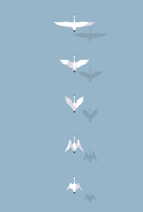 小鸟飞翔白色水面gif动图_动态图_表情包下载_soogif