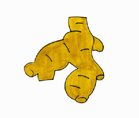 生姜简笔画图片 生姜怎么画