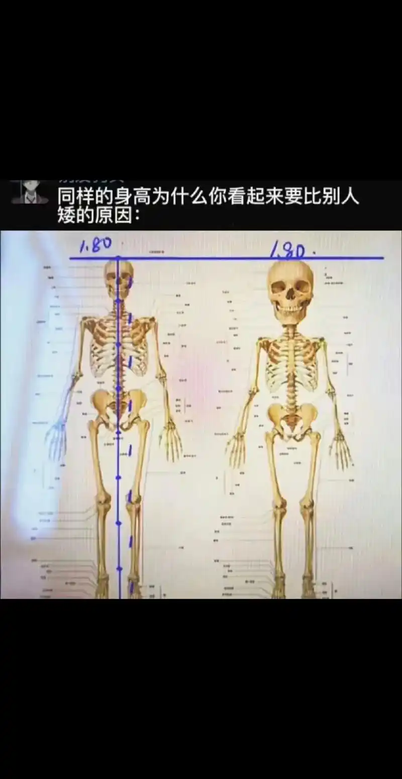 同样的身高为什么你看起来要比别人 矮的原因: 180 1.8 - 抖音