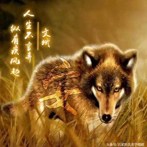 霸气配图多款霸气狼性大气微信头像