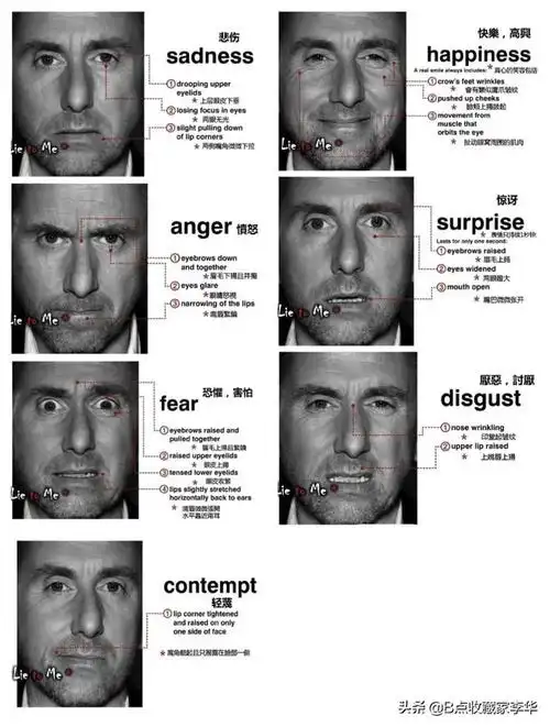 2,微表情心理学脸部表情解读,别对我说谎面部微表情识别方法集锦