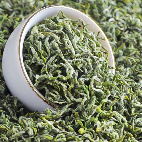 2023新茶预售贵州都匀毛尖茶叶明前春茶全芽头特色产区绿茶