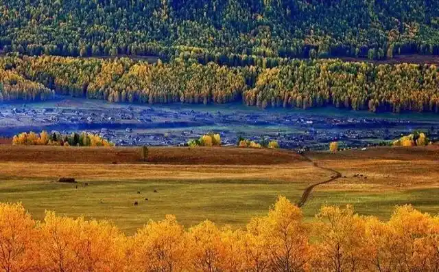 由于这里特殊的气候,大小兴安岭一年四季都有自己独特的美.