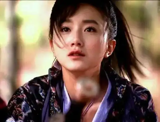 相继出演了《李卫当官》,《大唐双龙传》,《龙门镖局》,《秀才遇到兵