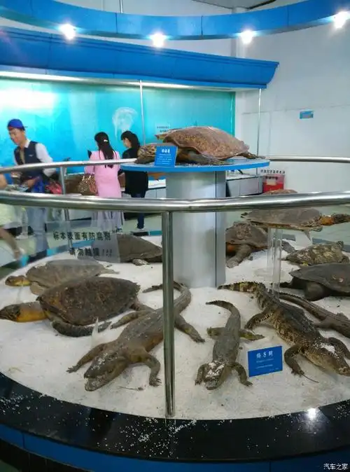 自驾游徐州云龙湖水族馆