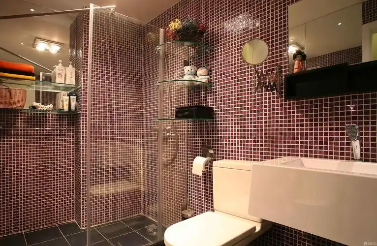 玻璃淋浴间马赛克墙面装修图片_设计456装修效果图