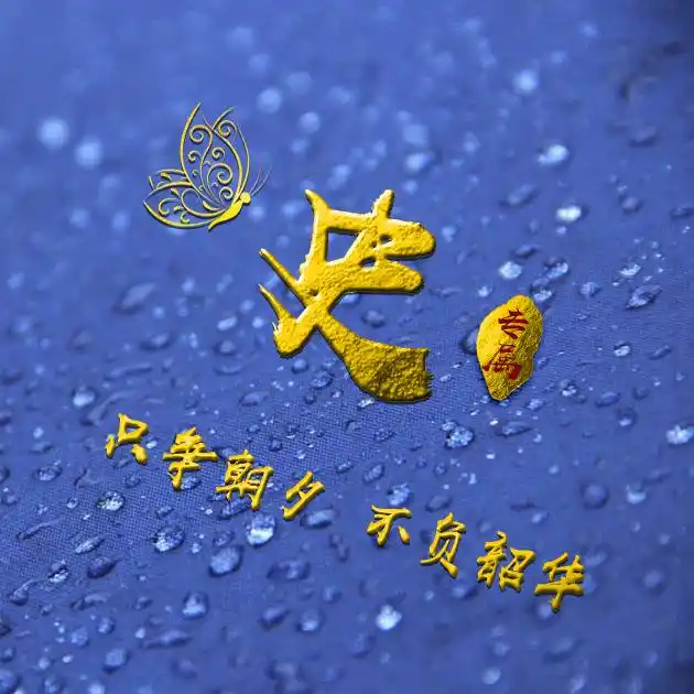 编号b02932张百家姓微信头像励志专属只争朝夕不负韶华