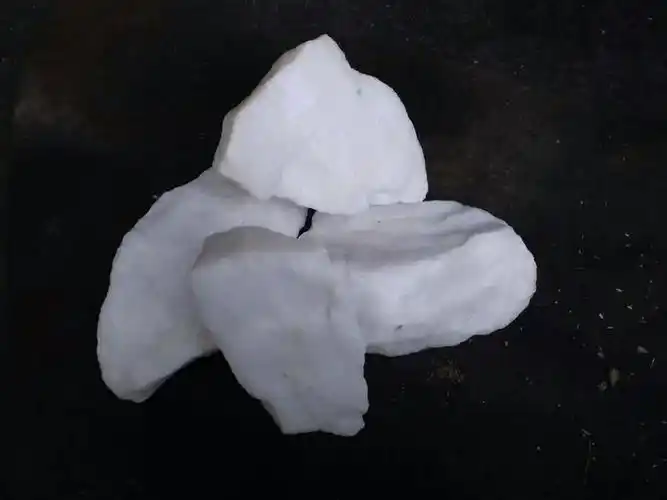 每天学一味中药——白石英