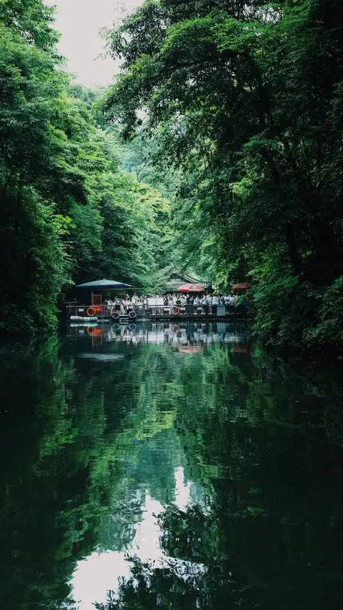 青城山##青城山后山##周末去哪儿