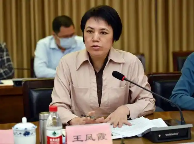 厚街镇镇委委员王凤霞讲话厚街镇镇委委员王凤霞认真听取了高层次