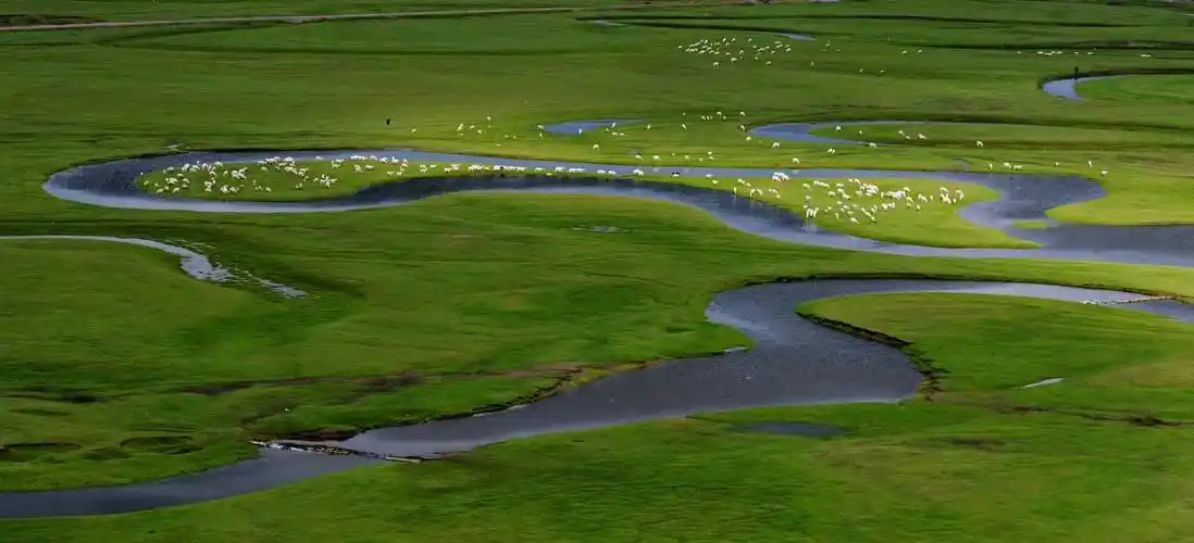 河北沽源:携草原情脉,拥溪流灵动,滦河神韵书写"燕赵最美"湿地_旅游