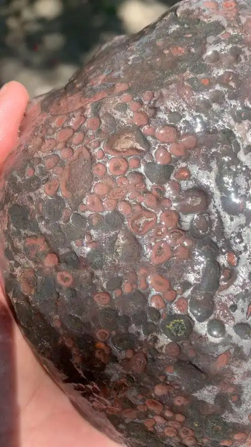 一颗稀有红宝石金属球粒陨石!95