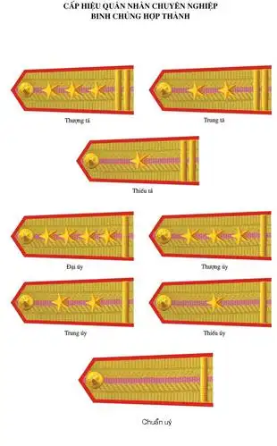 越南文职军衔与我国的叫法一样吗?
