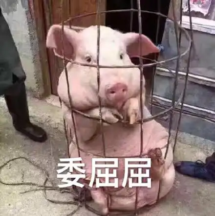 我想抱抱我的猪猪表情包 - 我想抱抱我的猪猪微信表情包 - 我想抱抱我