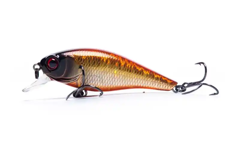 原创馆 - 鱼饵拍摄 by mr.ing摄影工作室-殷强