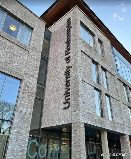 英国罗汉普顿大学-舞蹈动作心理治疗(线上)基础课程