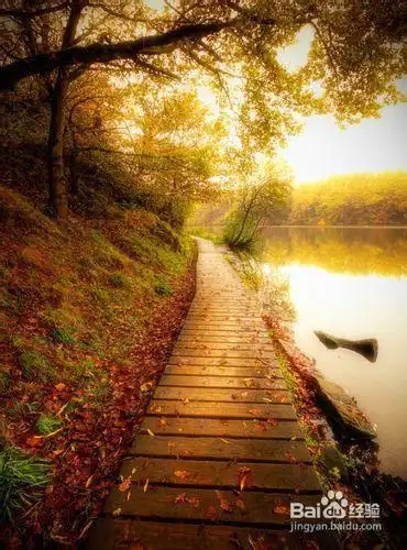 不可不学的摄影技巧二10个虚像摄影小技巧