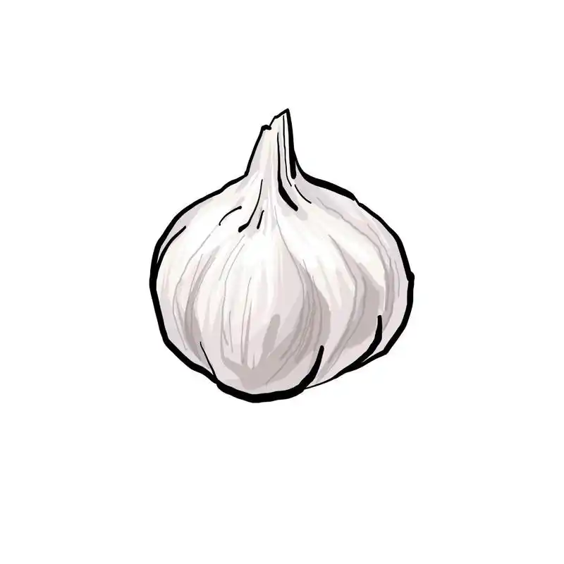 大蒜简笔画教学