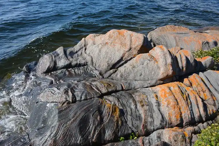 杀熊岛killbearprovincialpark