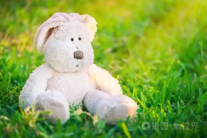 可爱的小白复活节兔子坐在新鲜的绿草地上春天阳光明媚的日子传统的