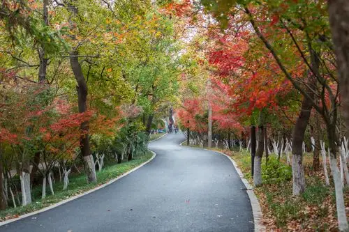 五王十四帝到过的栖霞山,原来秋天这么美