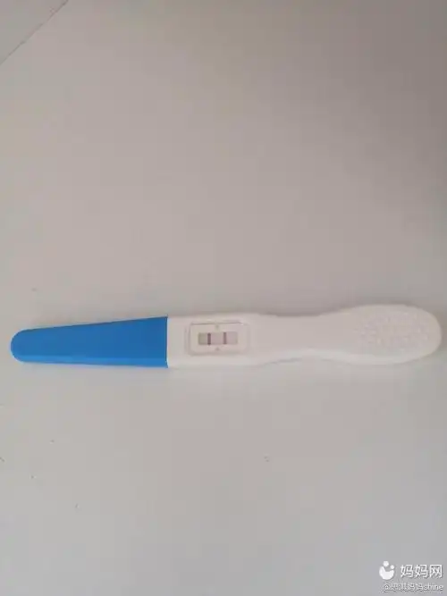 都说男孩上身早且验孕棒颜色很深我这两条红杠就很清晰现在孕20周头一