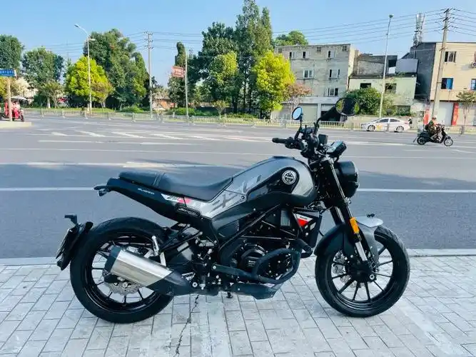 二手贝纳利幼狮 leoncino 250