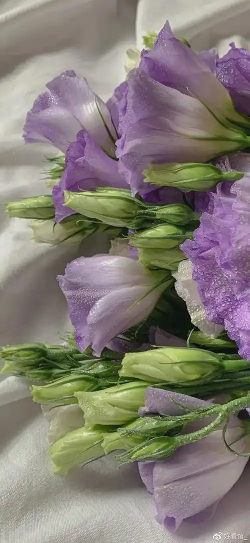 美式复古壁纸|所有的好 都不如刚刚好