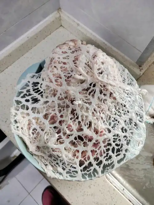 准备熬猪油了发现这一块好看的猪网油