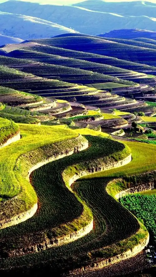 壁纸 会宁梯田,农村,中国 2560x1600 hd 高清壁纸, 图片, 照片