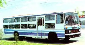 来点90年代的照片眼泪汪汪滴