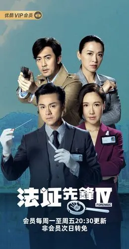 法证先锋4 海报