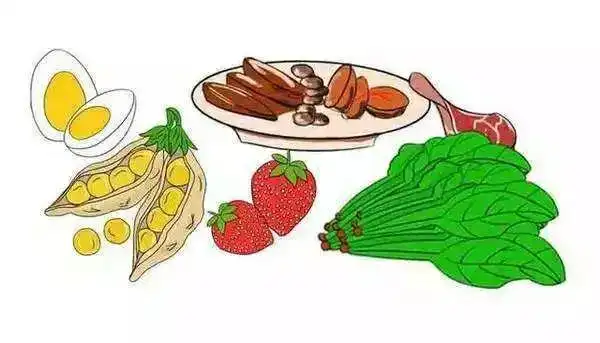 烹调要清淡,食物要少而精