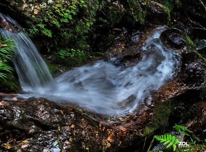 青城山后山飞泉沟1
