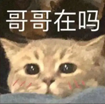 哥哥在吗(猫猫表情包)_哥哥_猫猫表情