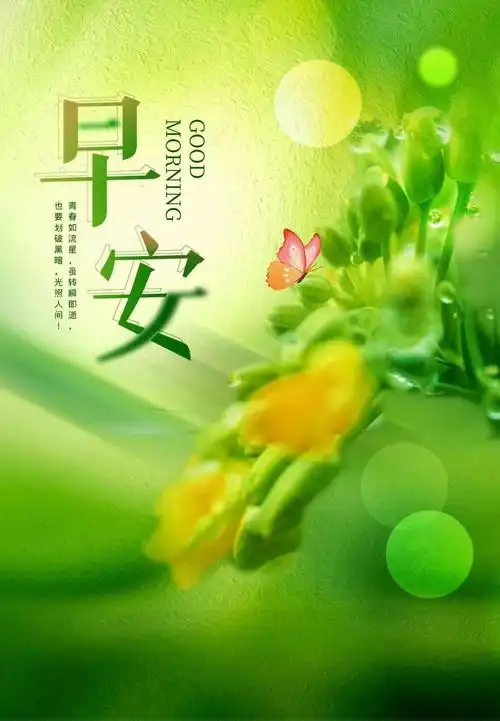 03.23」早安心语,正能量语录励志句子说说,早上好图片