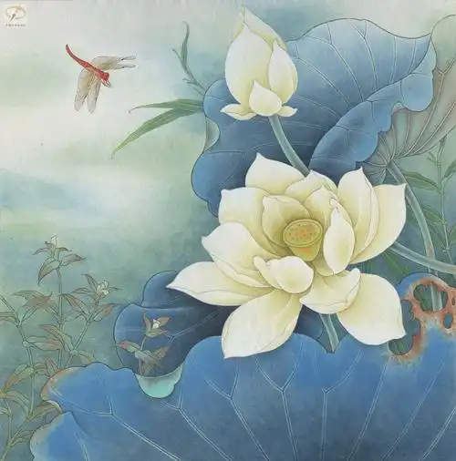 李怀臣工笔荷花绘制步骤图.