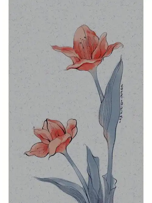 60超级简单的花卉教程60