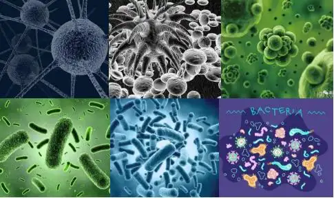 控湿可以抑制微生物生长_公司新闻_新闻动态-实力厂家官网