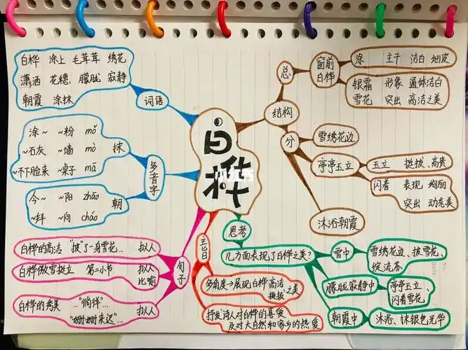 四下语文第十一课白桦思维导图
