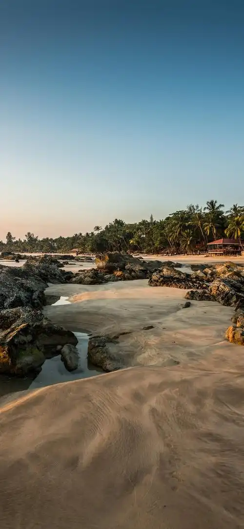 巴厘岛,海滩,棕榈树,沙滩,热带 iphone 壁纸