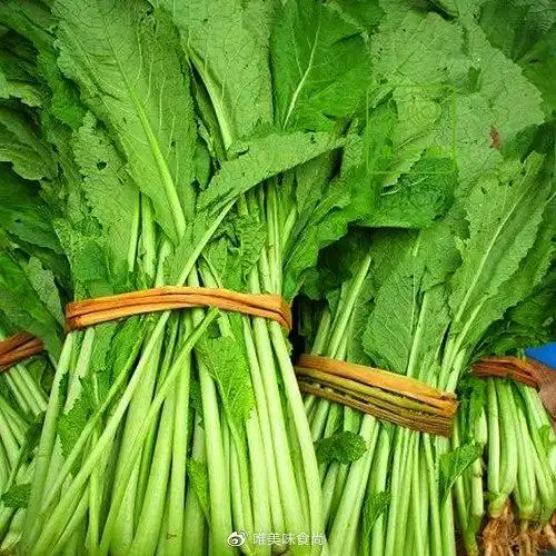 大苦菜就是芥菜,也叫大叶青菜,小苦菜是图中长得有点像小白菜的一种