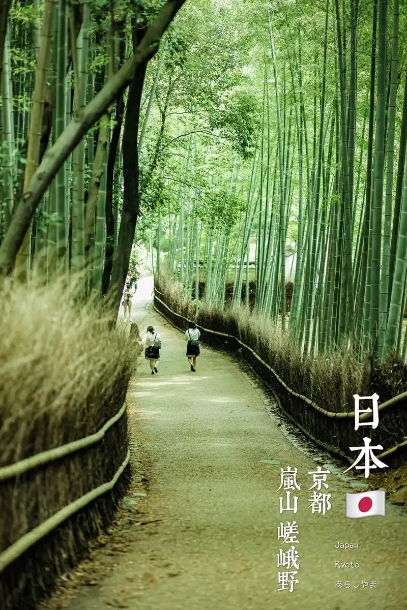 在日本京都众多的著名观光点中,岚山 - 抖音