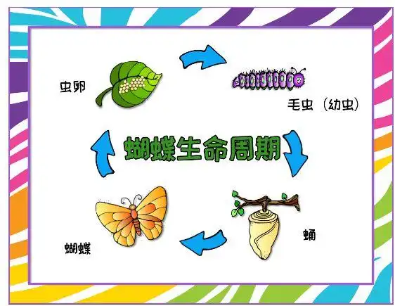 毛毛虫是怎么变成蝴蝶的用这个游戏带孩子看看变化过程就明白了