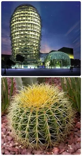 全球十大仿生建筑设计_速报吧_百度贴吧