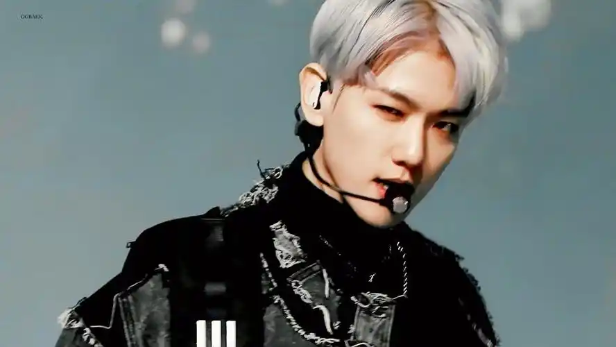 obsession 边伯贤!太太太太太太太太太迷… - 堆糖,美图壁纸兴趣社区