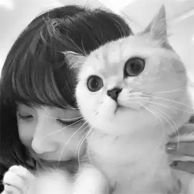黑白系女生抱猫头像真人图片